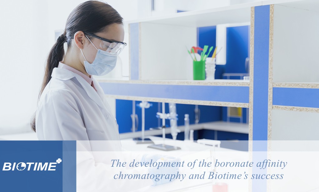 o desenvolvimento da cromatografia de afinidade de boronato e o sucesso do biotempo