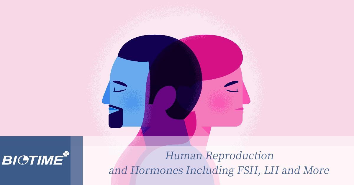 Reprodução humana e hormônios, incluindo FSH, LH e mais
